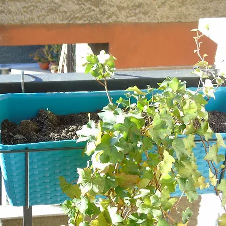 Apartamento Romainblu2
